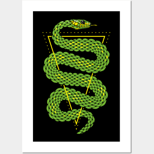 Viper snake 2 Posters and Art